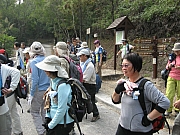 Thumbnail of pic_CC_Li_153.JPG