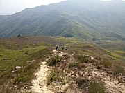 Thumbnail of pic_FC_Chan_38.JPG