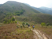 Thumbnail of pic_FW_Li_44.JPG