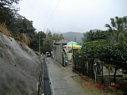 Thumbnail of pic_Wai_085.JPG