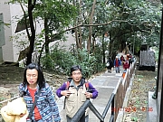 Thumbnail of pic_Wai_030.JPG