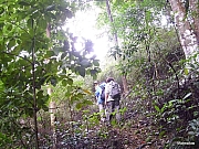 Thumbnail of pic_Wai_0127.JPG