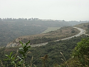 Thumbnail of pic_Eddie_Lui_101.JPG