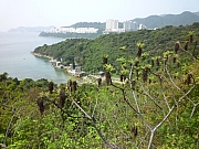 Thumbnail of pic_CW_Leung_05.JPG