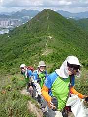 Thumbnail of pic_CW_Leung_42.JPG
