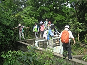 Thumbnail of pic_CC_Li_029.JPG