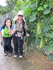 Thumbnail of pic_YL_Wong_14.JPG