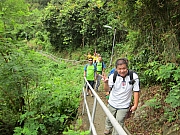 Thumbnail of pic_YL_Wong_08.JPG