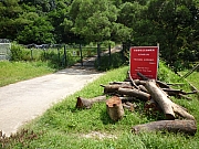 Thumbnail of pic_CW_Leung_49.JPG