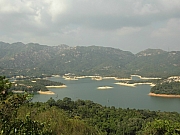 Thumbnail of pic_Eddie_101.JPG