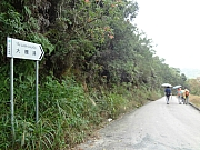 Thumbnail of pic_Eddie_106.JPG
