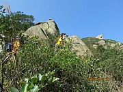 Thumbnail of pic_CC_Li_034.JPG