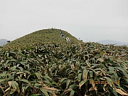 Thumbnail of pic_CC_Li_046.JPG