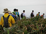 Thumbnail of pic_CC_Li_063.JPG
