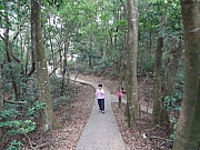 Thumbnail of pic_Eddie_Lui_028.JPG