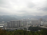 Thumbnail of pic_Eddie_Lui_086.JPG