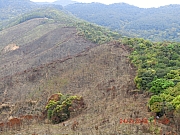 Thumbnail of pic_Wai_59.JPG