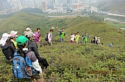 Thumbnail of pic_CC_Li_090.JPG