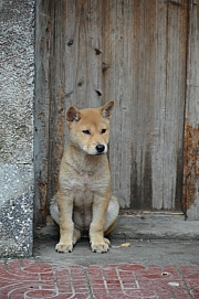 Thumbnail of pic_Billy_263.JPG