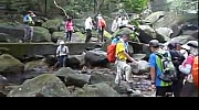 Thumbnail of 20130512_011.JPG
