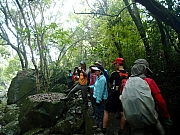 Thumbnail of pic_Amy_Fong_063.JPG