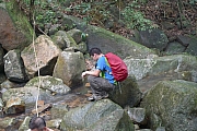 Thumbnail of pic_Billy_040.JPG