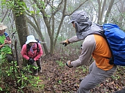 Thumbnail of pic_Joanna_Chung_036.JPG