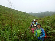 Thumbnail of pic_Wai_039.JPG