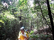 Thumbnail of pic_Eddie_Lui_007.JPG