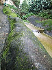 Thumbnail of pic_Joanna_Chung_086.JPG