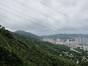 Thumbnail of pic_YL_Wong_026.JPG