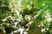 Thumbnail of pic_CC_Li_031.JPG