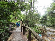 Thumbnail of pic_Eddie_Lui_165.JPG