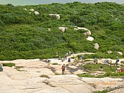 Thumbnail of pic_Wai_049.JPG