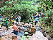 Thumbnail of pic_CC_Li_054.JPG