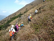 Thumbnail of PB240025.JPG