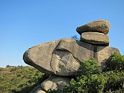Thumbnail of pic_YL_Wong_069.JPG