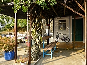 Thumbnail of pic_Thomas_Leung_216.JPG