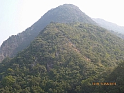 Thumbnail of pic_Wai_069.JPG