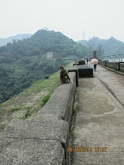 Thumbnail of pic_Eddie_Lui_154.JPG