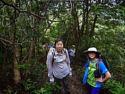 pic_Wai_019.JPG (305696 bytes)