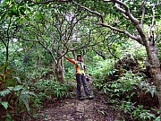 pic_Wai_021.JPG (329489 bytes)