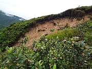 pic_Wai_026.JPG (228697 bytes)