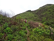 pic_Wai_027.JPG (268952 bytes)