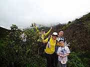 pic_Wai_029.JPG (205069 bytes)