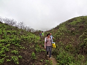 pic_Wai_032.JPG (213866 bytes)