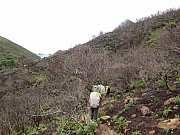 pic_Wai_036.JPG (258626 bytes)