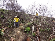pic_Wai_037.JPG (310863 bytes)