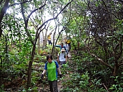 pic_Wai_039.JPG (305351 bytes)