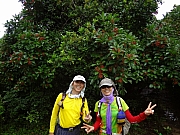 pic_Wai_042.JPG (244137 bytes)